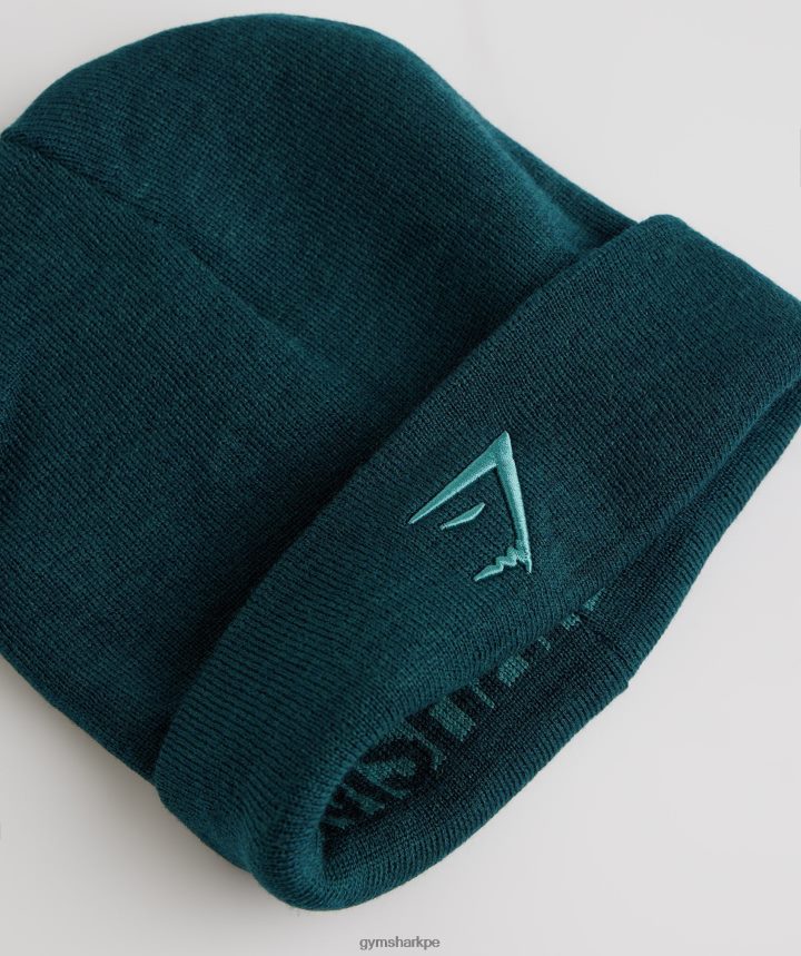 Gymsharkgorro reversible en jacquard unisexo verde azulado invierno/azul pizarra PFTJ2N1144 accesorios