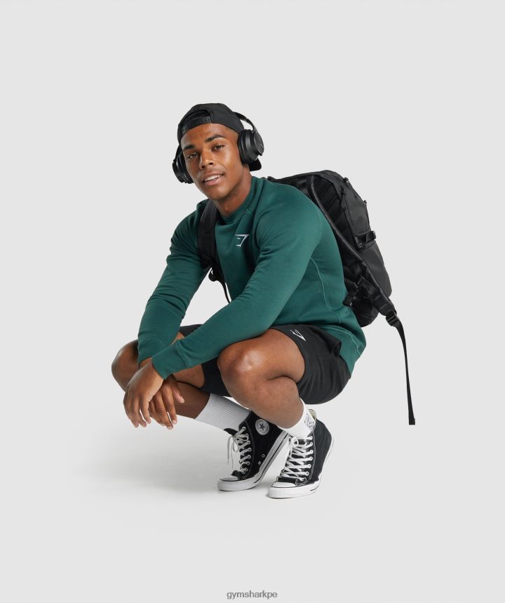 Gymsharkpantalones cortos con escudo hombres negro PFTJ2N514 ropa