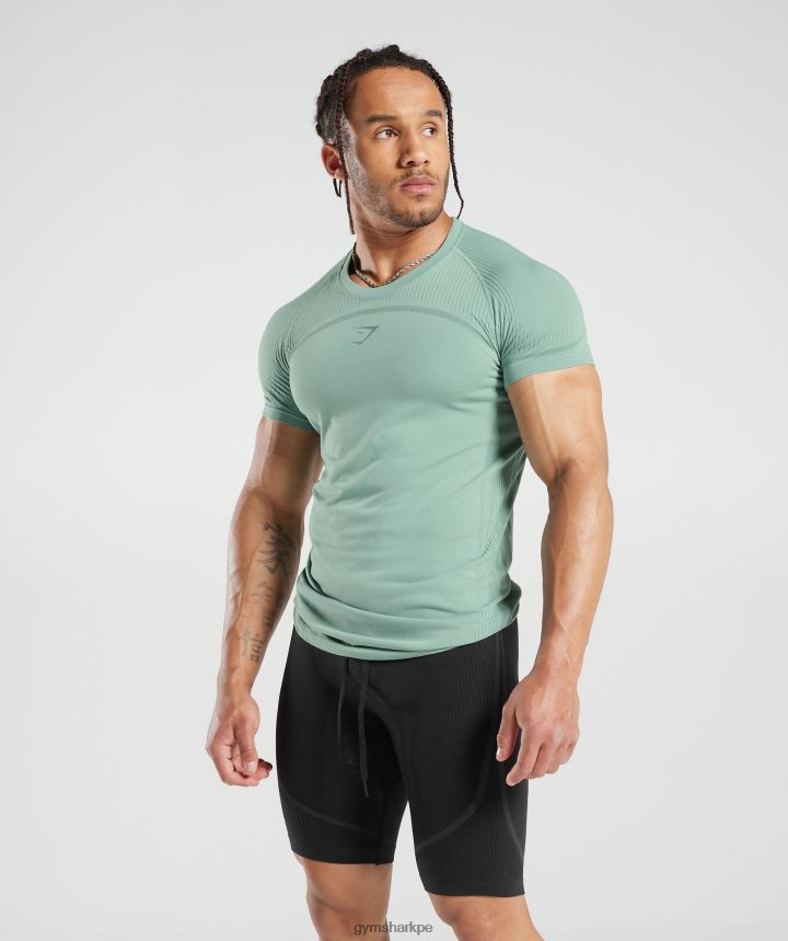 Gymshark315 camiseta sin costuras hombres verde azulado escarchado/verde azulado tinta PFTJ2N779 ropa