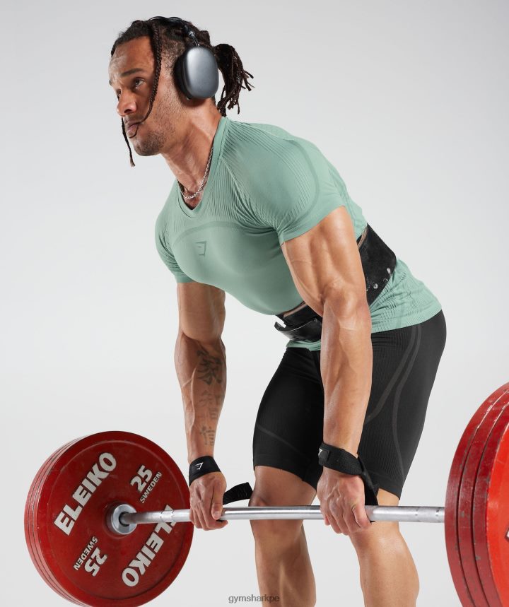 Gymshark315 camiseta sin costuras hombres verde azulado escarchado/verde azulado tinta PFTJ2N779 ropa