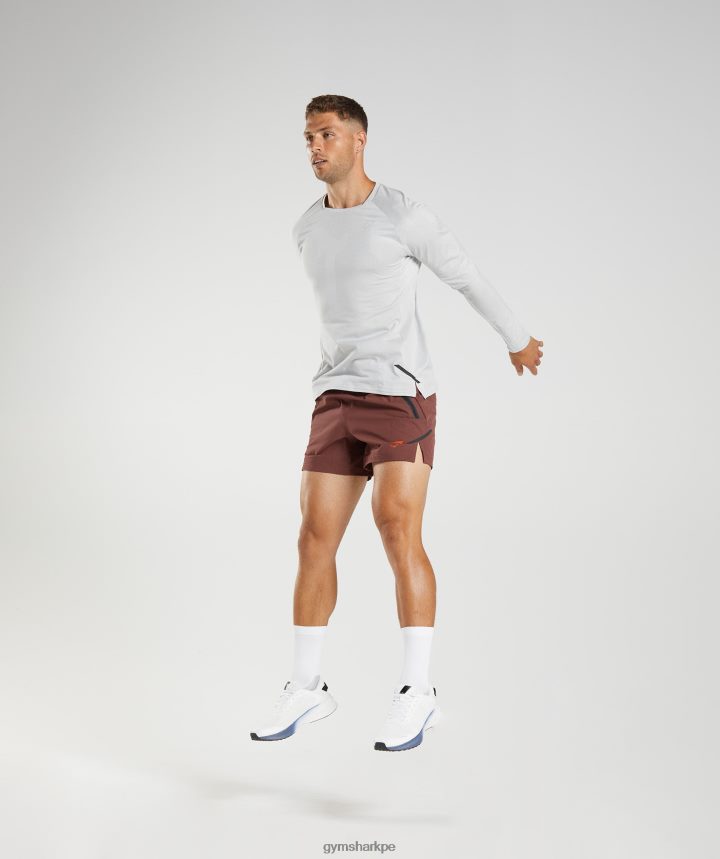 Gymsharkápice camiseta de manga larga hombres gris claro/blanco PFTJ2N613 ropa