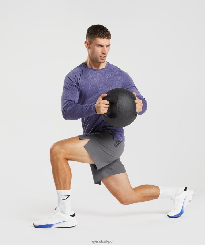 Gymsharkápice camiseta de manga larga hombres púrpura neptuno/púrpura terciopelo PFTJ2N707 ropa