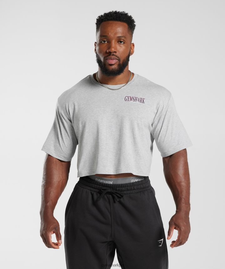 Gymsharkcamiseta corta retrowave hombres núcleo gris claro marga PFTJ2N588 ropa