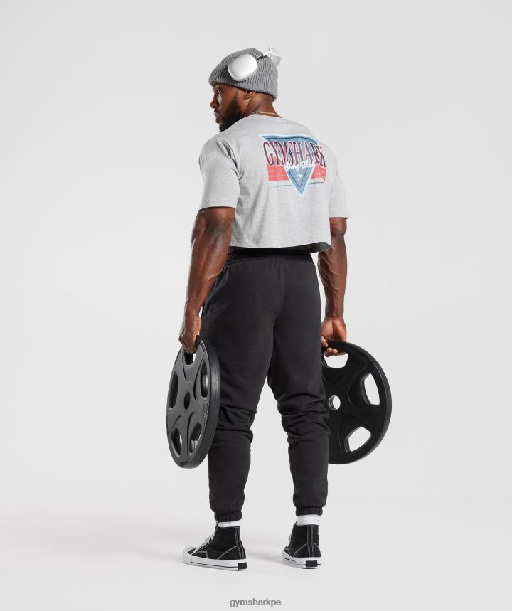 Gymsharkcamiseta corta retrowave hombres núcleo gris claro marga PFTJ2N588 ropa