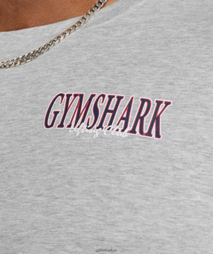 Gymsharkcamiseta corta retrowave hombres núcleo gris claro marga PFTJ2N588 ropa