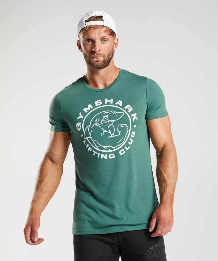 Gymsharkcamiseta de legado hombres hoya verde PFTJ2N697 ropa
