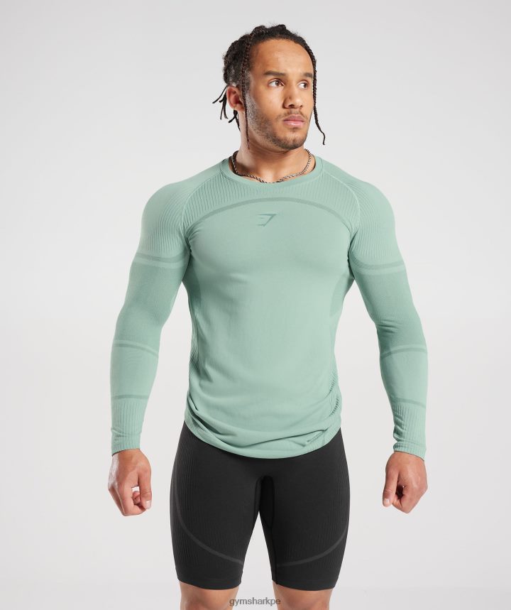 Gymsharkcamiseta de manga larga sin costuras 315 hombres verde azulado escarchado/verde azulado tinta PFTJ2N780 ropa
