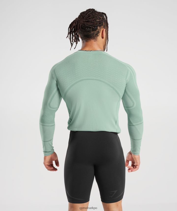 Gymsharkcamiseta de manga larga sin costuras 315 hombres verde azulado escarchado/verde azulado tinta PFTJ2N780 ropa