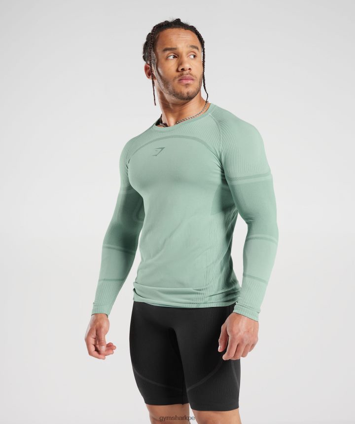 Gymsharkcamiseta de manga larga sin costuras 315 hombres verde azulado escarchado/verde azulado tinta PFTJ2N780 ropa
