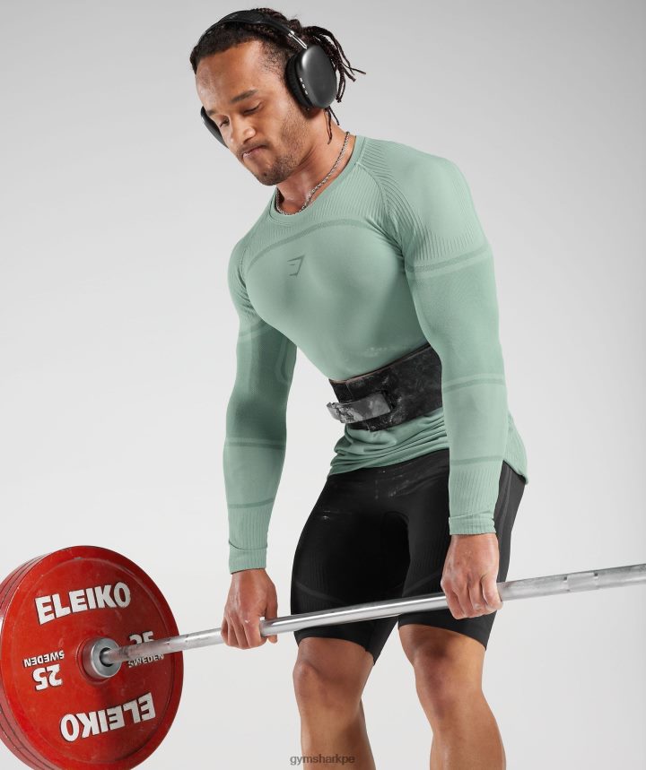 Gymsharkcamiseta de manga larga sin costuras 315 hombres verde azulado escarchado/verde azulado tinta PFTJ2N780 ropa