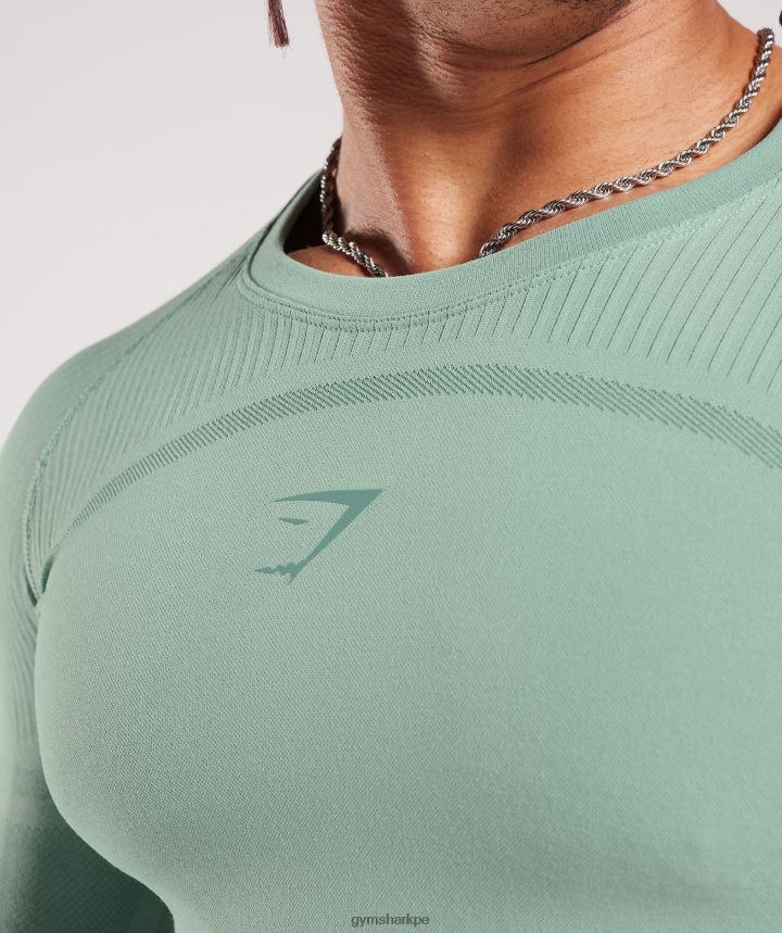 Gymsharkcamiseta de manga larga sin costuras 315 hombres verde azulado escarchado/verde azulado tinta PFTJ2N780 ropa