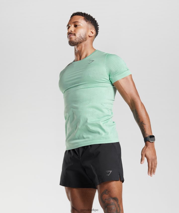 Gymsharkcamiseta deportiva sin costuras hombres verde pastel/verde sauce PFTJ2N715 ropa