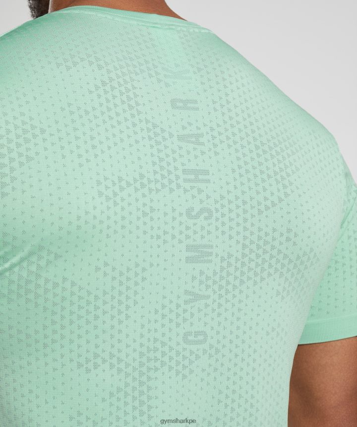 Gymsharkcamiseta deportiva sin costuras hombres verde pastel/verde sauce PFTJ2N715 ropa
