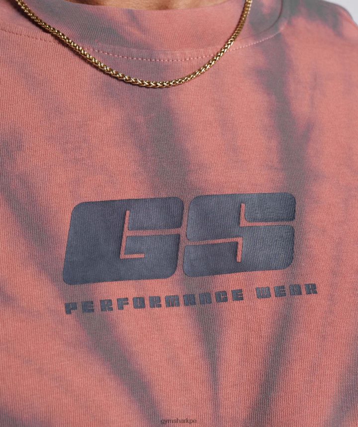 Gymsharkcamiseta dia de descanso hombres rosa terracota/granate empolvado/lavado óptico en espiral PFTJ2N775 ropa
