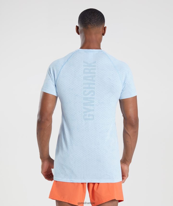 Gymsharkcamiseta geo sin costuras hombres blanco/azul piedra luna PFTJ2N604 ropa