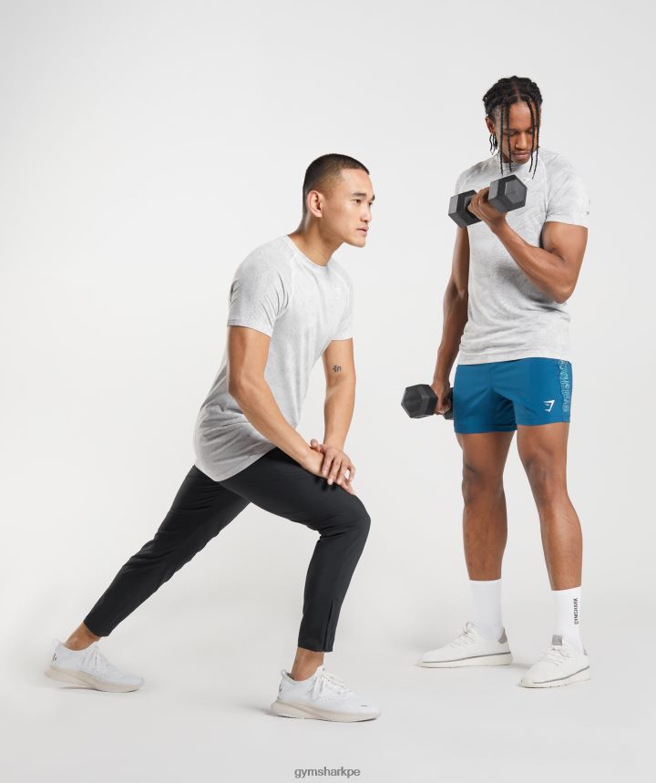 Gymsharkcamiseta geo sin costuras hombres blanco hueso/gris claro PFTJ2N618 ropa