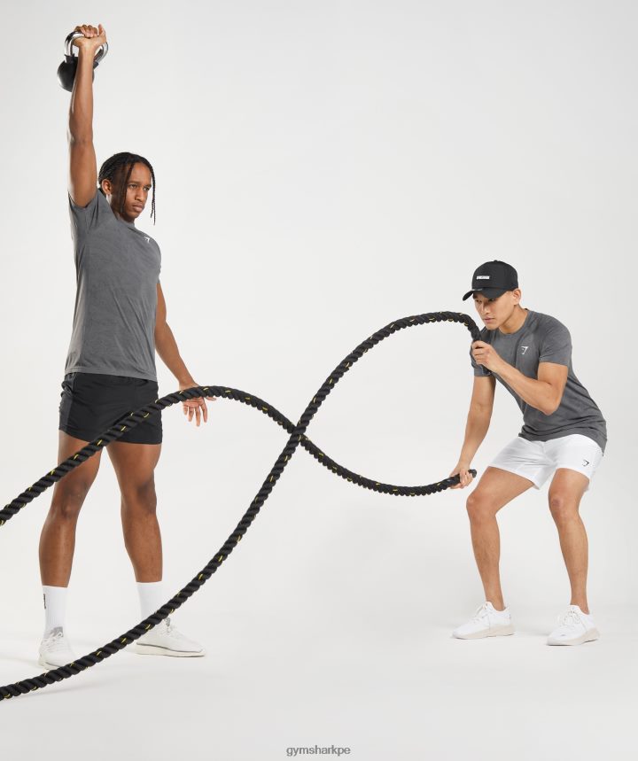 Gymsharkcamiseta geo sin costuras hombres gris carbón/negro PFTJ2N629 ropa