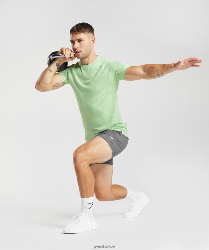 Gymsharkcamiseta geo sin costuras hombres verde aloe/verde té PFTJ2N609 ropa