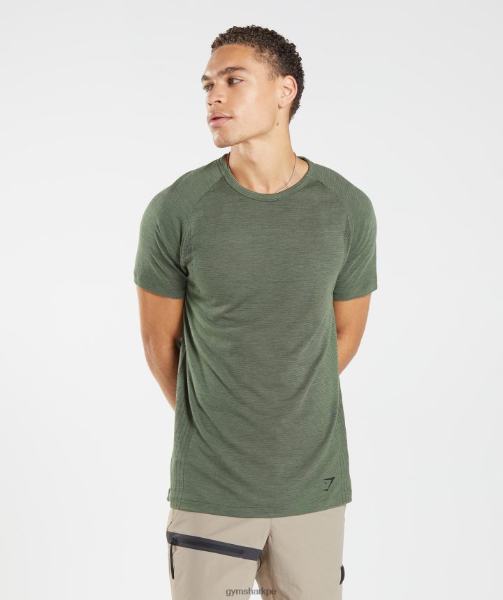 Gymsharkcamiseta sin costuras retomar hombres núcleo oliva/marga negra PFTJ2N626 ropa