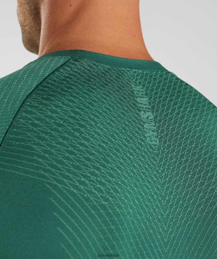 Gymsharkplayera de manga larga sin costuras Apex hombres verde bosque/verde hoya PFTJ2N699 ropa