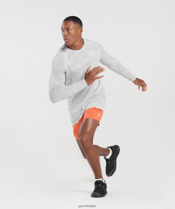 Gymsharkplayera de manga larga sin costuras Geo hombres blanco/gris claro PFTJ2N734 ropa