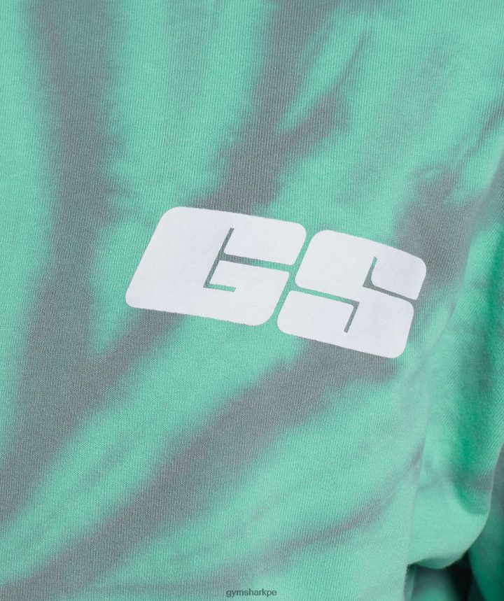 Gymsharkdía de descanso sudadera con capucha hombres verde oxidado/gris silueta/lavado óptico espiral PFTJ2N799 ropa