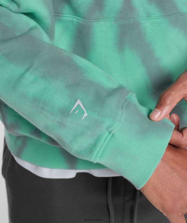 Gymsharkdía de descanso sudadera con capucha hombres verde oxidado/gris silueta/lavado óptico espiral PFTJ2N799 ropa