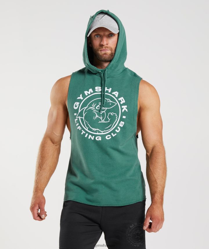 Gymsharksudadera con capucha Legacy hombres hoya verde PFTJ2N842 ropa