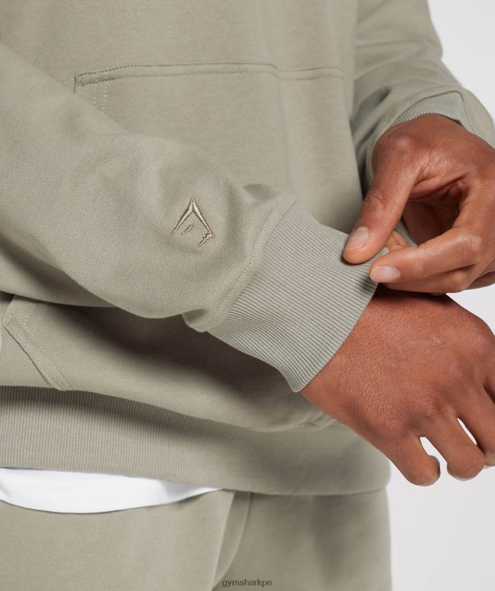 Gymsharksudadera con capucha básica para el día de descanso hombres marrón crudo PFTJ2N800 ropa