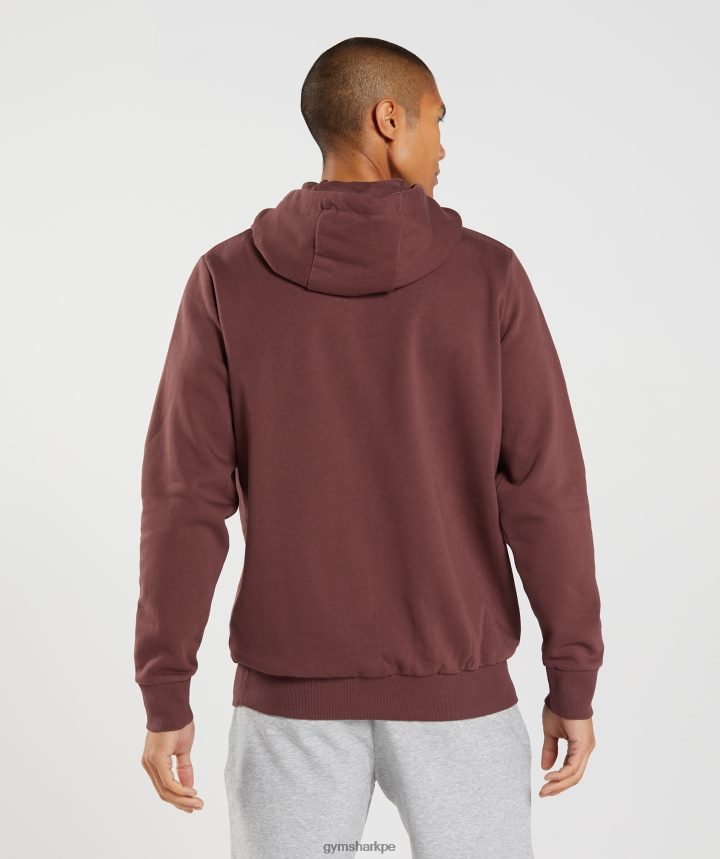 Gymsharksudadera con capucha de bloque hombres marrón cereza PFTJ2N874 ropa