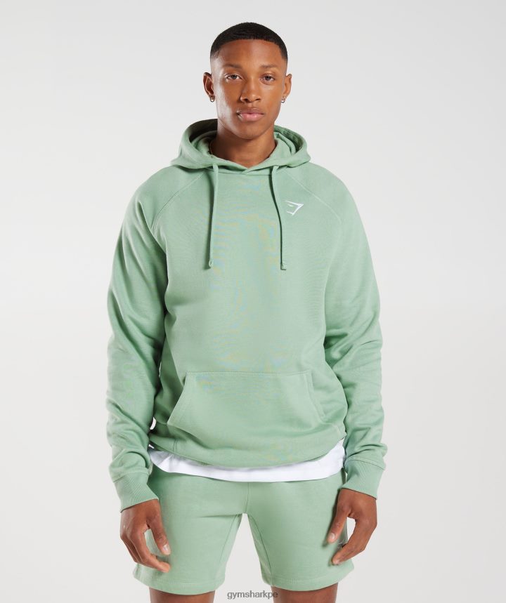 Gymsharksudadera con capucha y escudo hombres verde salvia del desierto PFTJ2N823 ropa