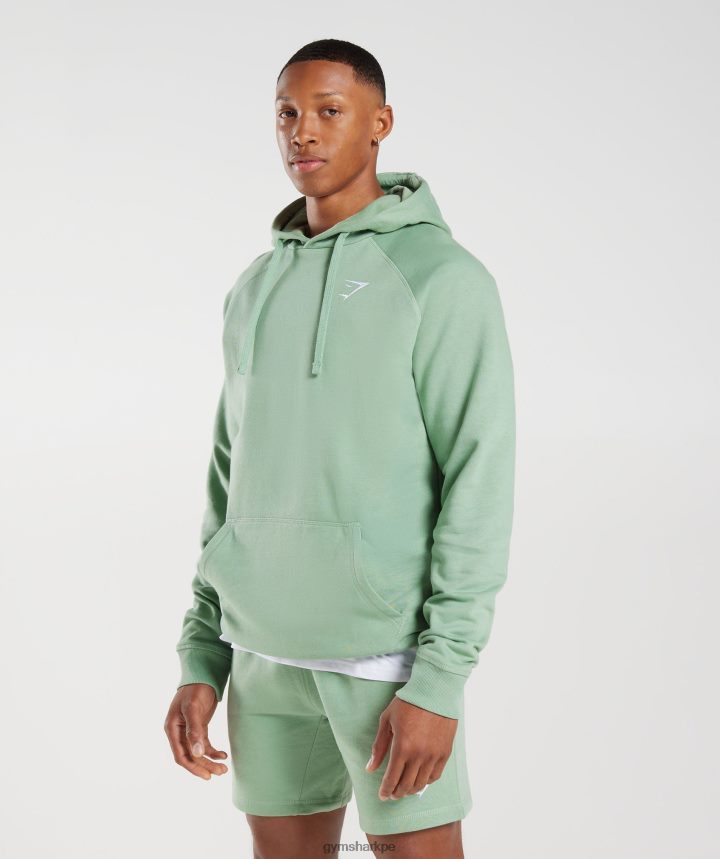 Gymsharksudadera con capucha y escudo hombres verde salvia del desierto PFTJ2N823 ropa