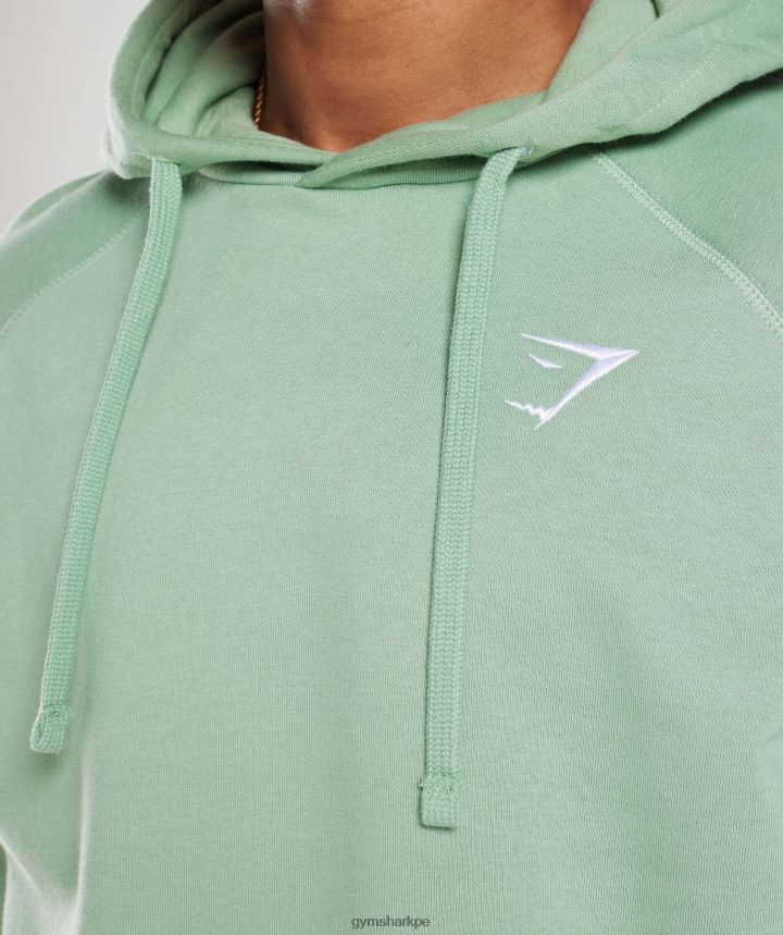 Gymsharksudadera con capucha y escudo hombres verde salvia del desierto PFTJ2N823 ropa