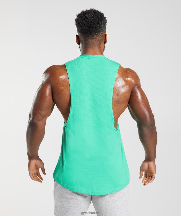 Gymsharktanque de brazo de reacción hombres verde tropical PFTJ2N955 ropa