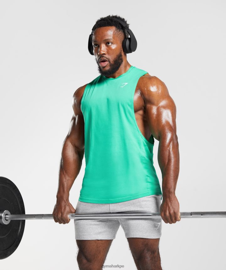 Gymsharktanque de brazo de reacción hombres verde tropical PFTJ2N955 ropa