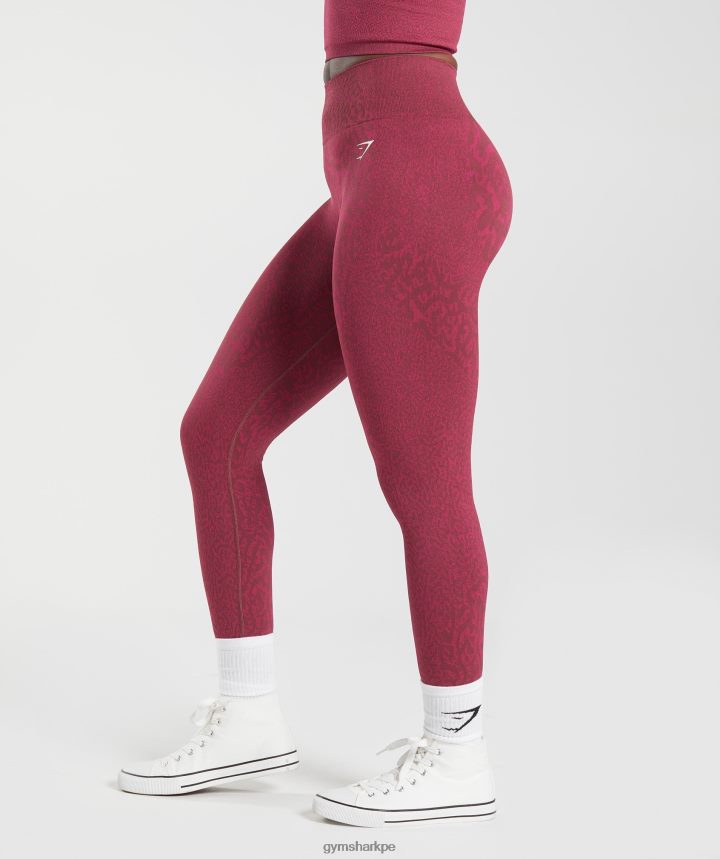 Gymsharkadaptar animal leggins sin costuras mujer arrecife | marrón cereza PFTJ2N299 ropa
