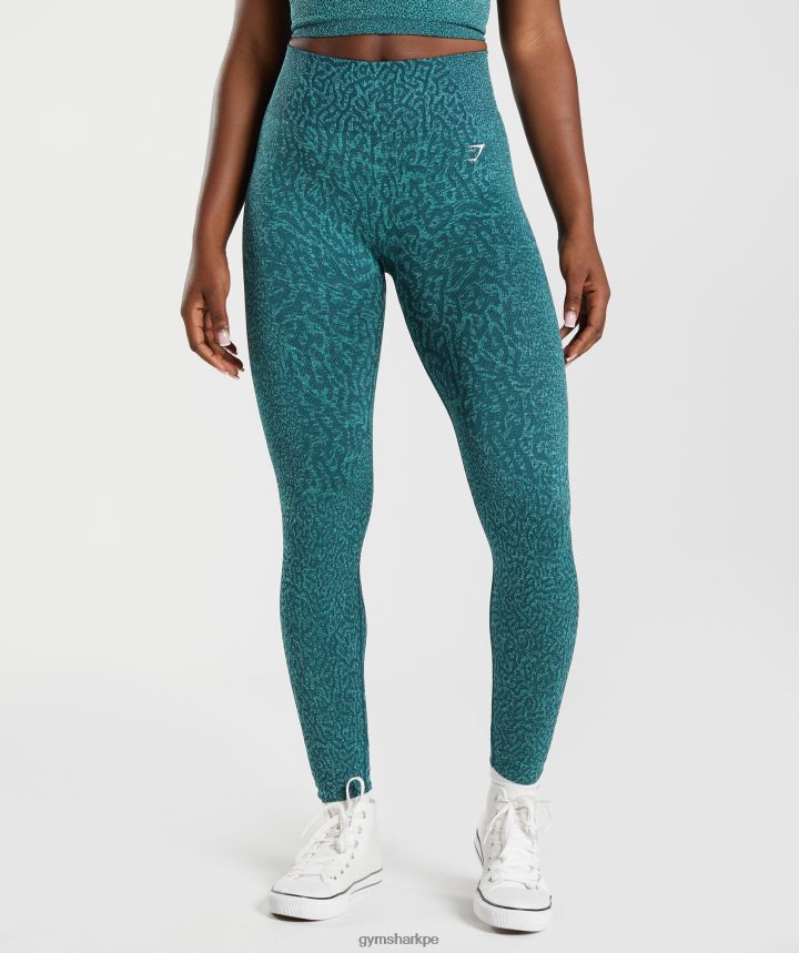 Gymsharkadaptar animal leggins sin costuras mujer arrecife | verde azulado de invierno PFTJ2N292 ropa