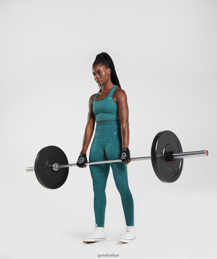 Gymsharkadaptar animal leggins sin costuras mujer arrecife | verde azulado de invierno PFTJ2N292 ropa
