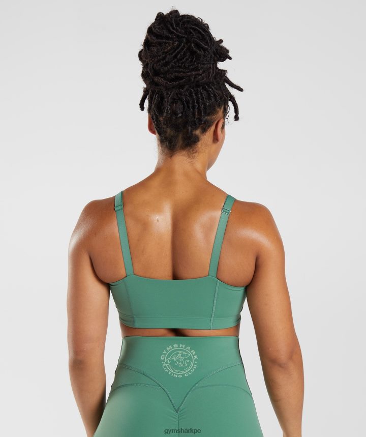 Gymsharksujetador deportivo heredado mujer hoya verde PFTJ2N174 ropa