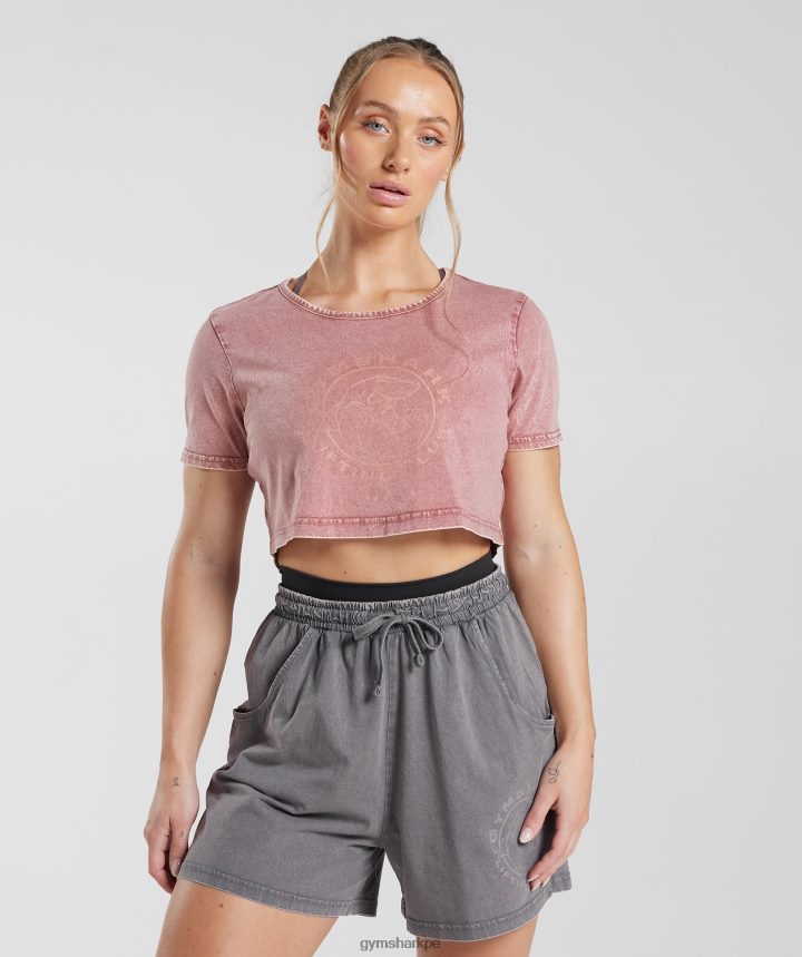 Gymsharkblusa corta heredada mujer rosa terracota/lavado ácido PFTJ2N502 ropa