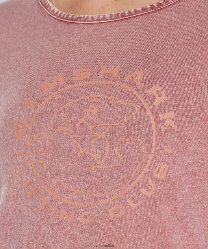 Gymsharkblusa corta heredada mujer rosa terracota/lavado ácido PFTJ2N502 ropa