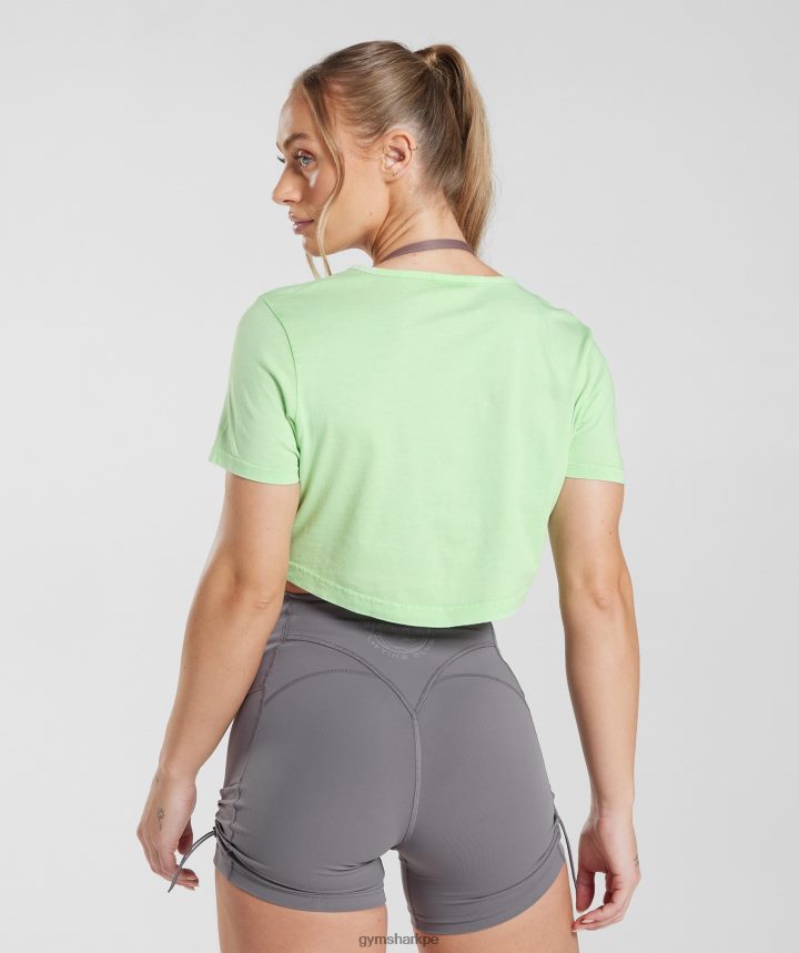 Gymsharkblusa corta heredada mujer verde menta fresca/lavado ácido PFTJ2N503 ropa